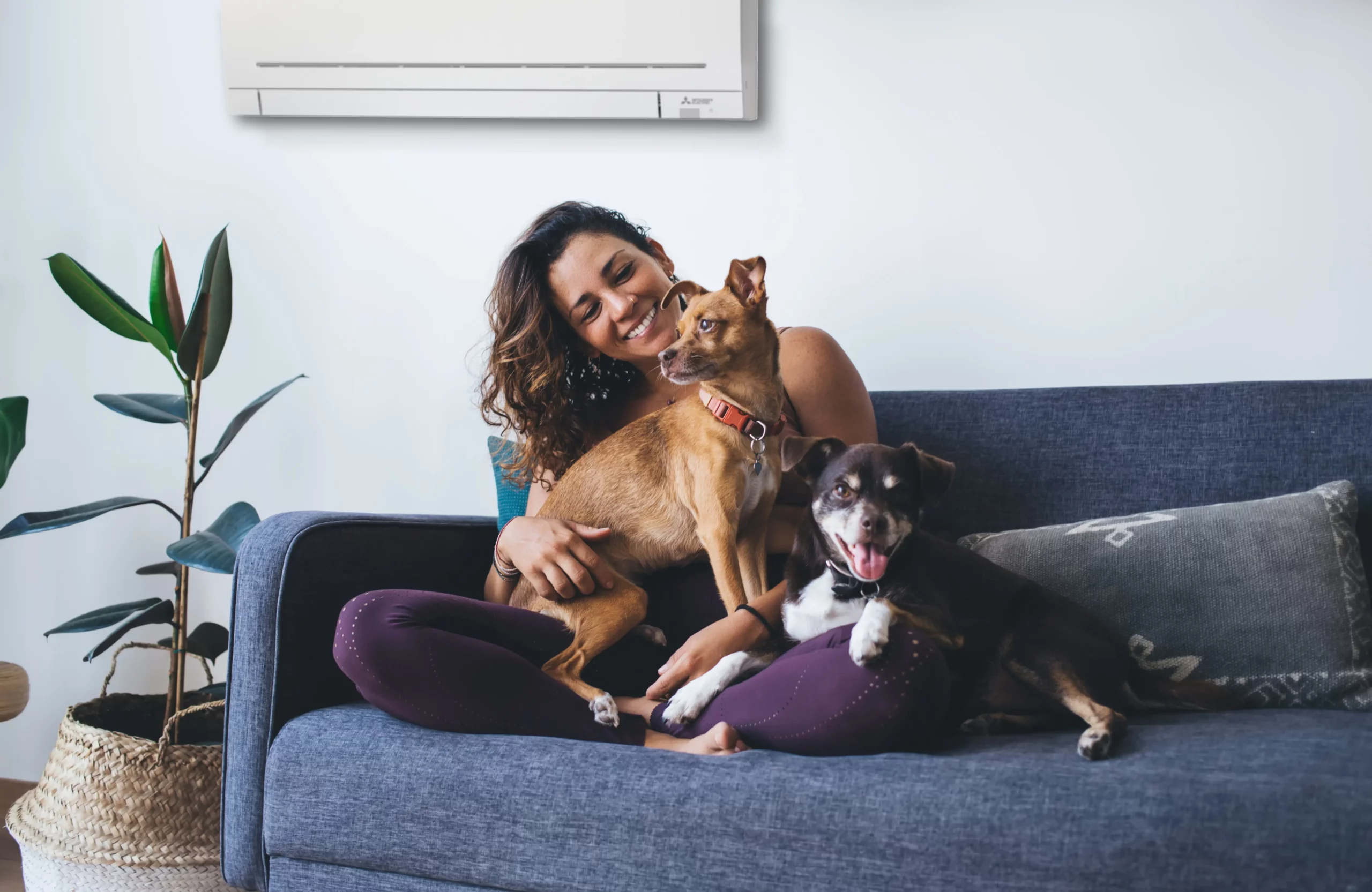 Young woman in purple yoga pants relaxing with her dogs in front of a Mitsubishi heating and cooling system.